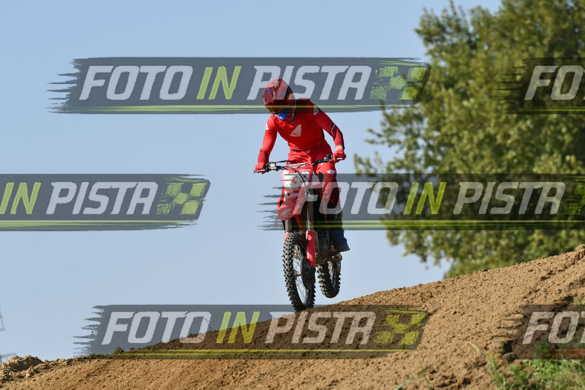 239 · DSH_7714