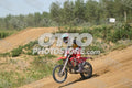 17 · DSH_7724