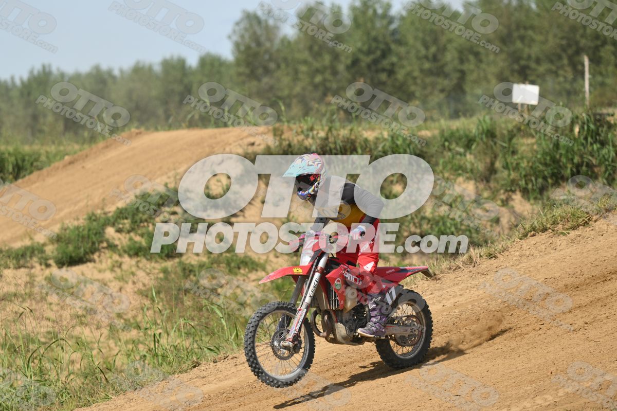 17 · DSH_7724