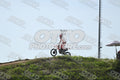 958 · DSH_7731