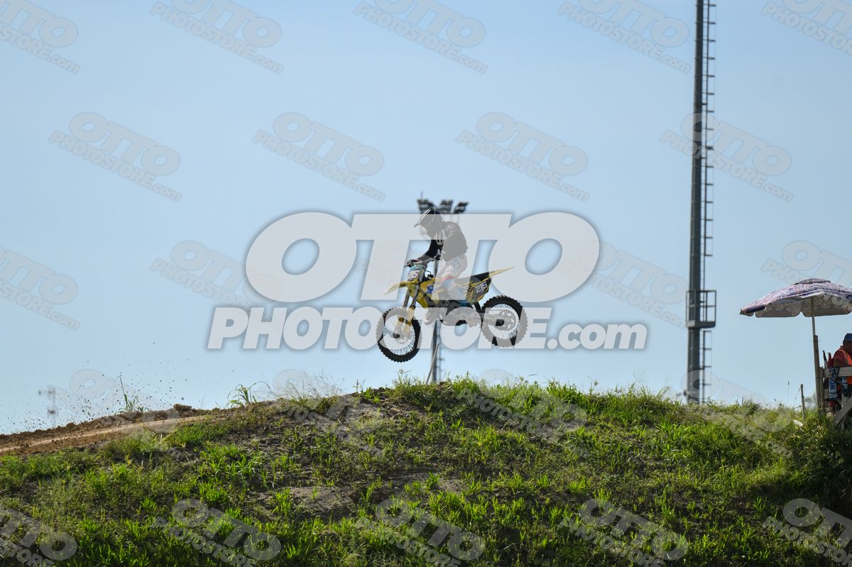 215 · DSH_7734