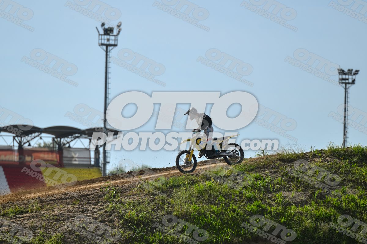 215 · DSH_7738