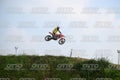 235 · DSH_7739