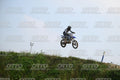 36 · DSH_7742