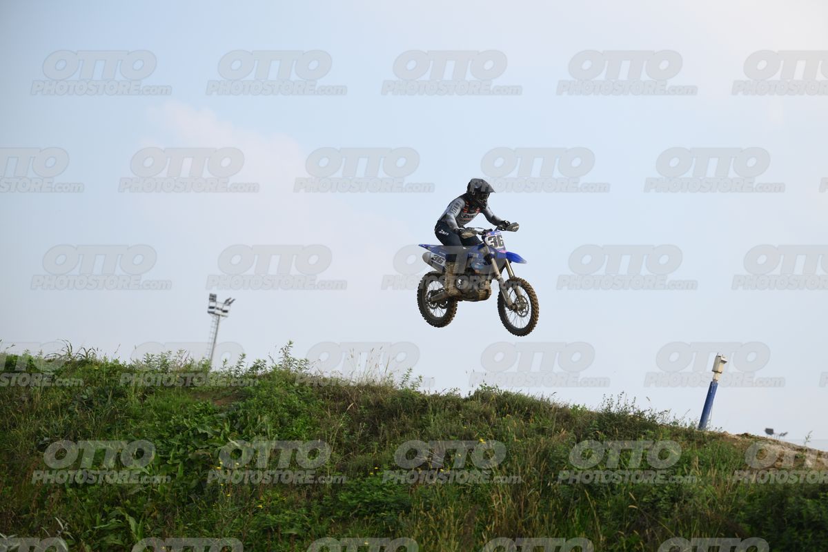 36 · DSH_7742