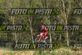 239 · DSH_7751