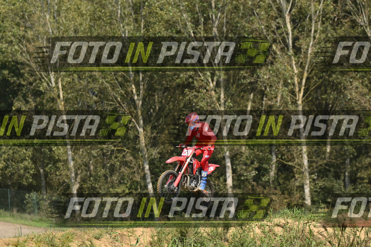 239 · DSH_7751