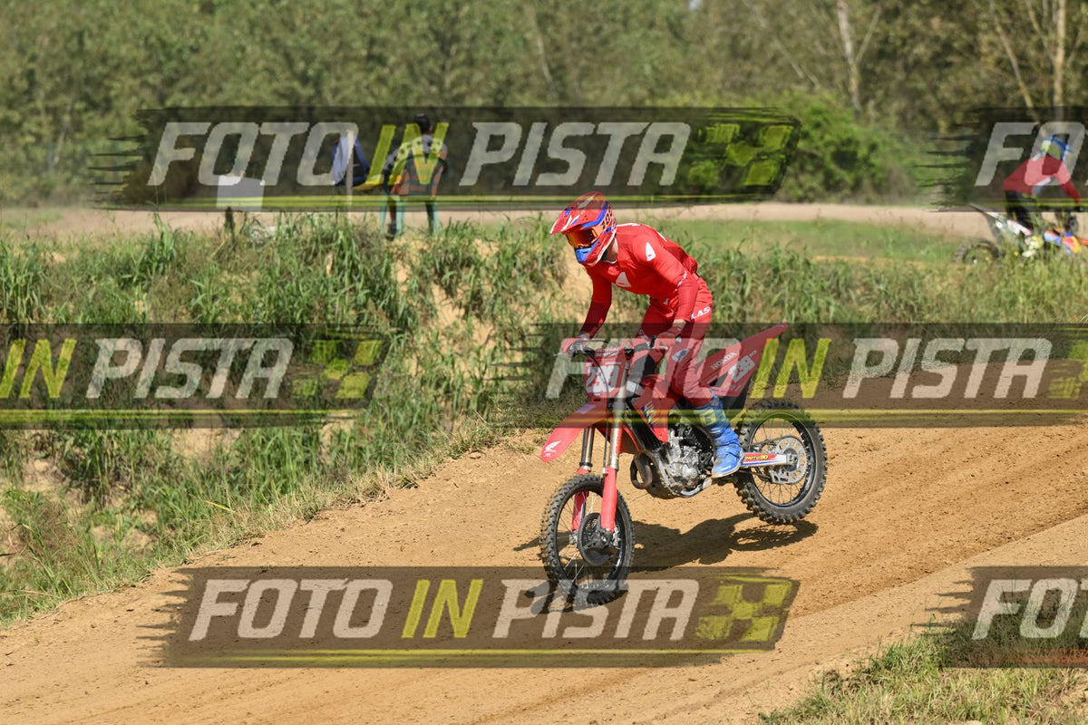 239 · DSH_7753