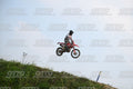 155 · DSH_7754