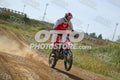 958 · DSH_7773