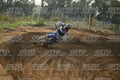 36 · DSH_7781