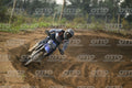 36 · DSH_7783