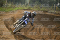 36 · DSH_7784