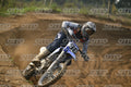 36 · DSH_7785
