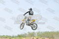 215 · DSH_7789