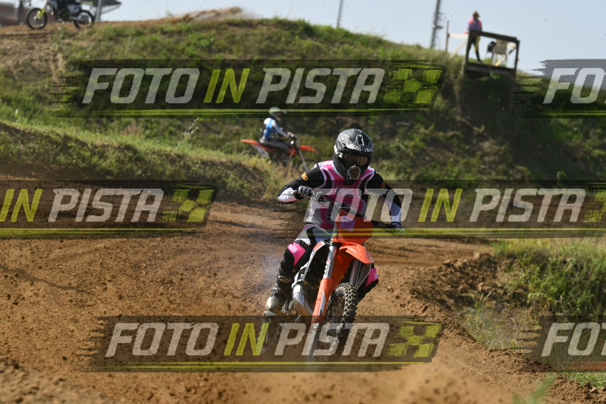 KTM - PINK WHITE SHIRT · DSH_7792
