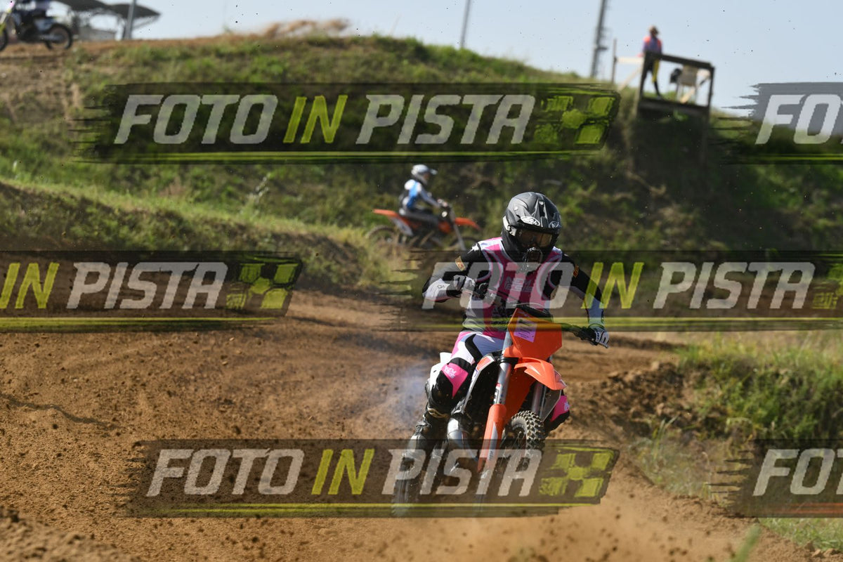 KTM - PINK WHITE SHIRT · DSH_7793