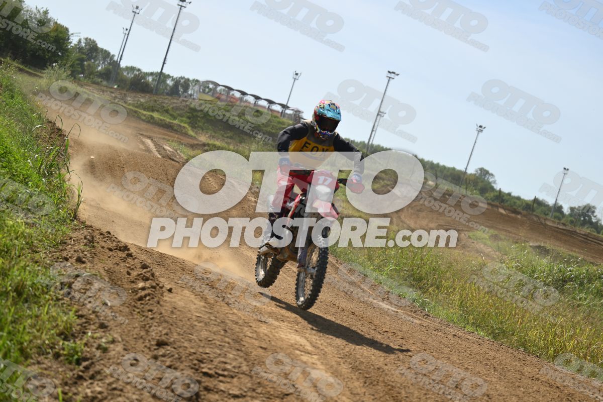 17 · DSH_7806