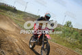 17 · DSH_7809