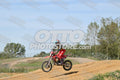 17 · DSH_7824