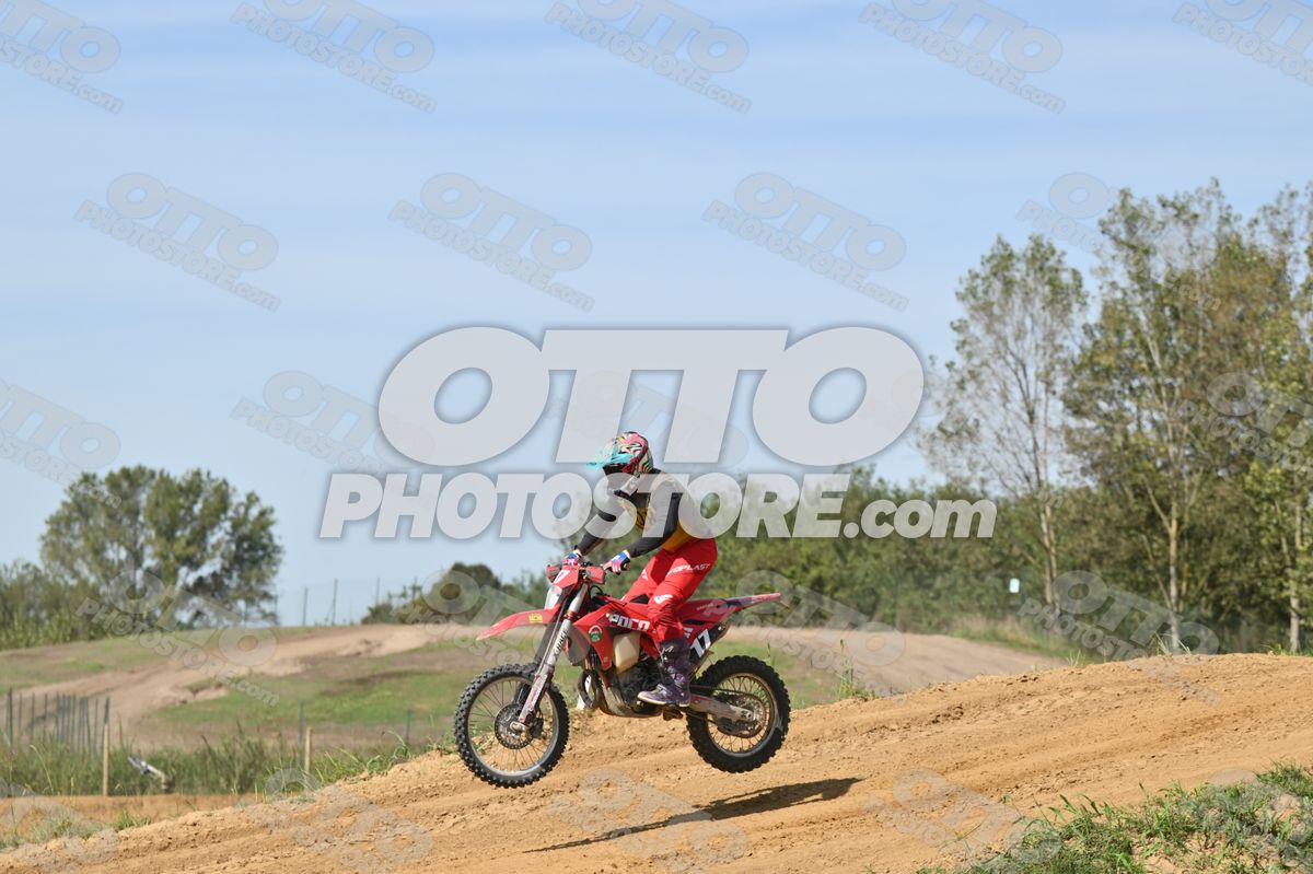17 · DSH_7824