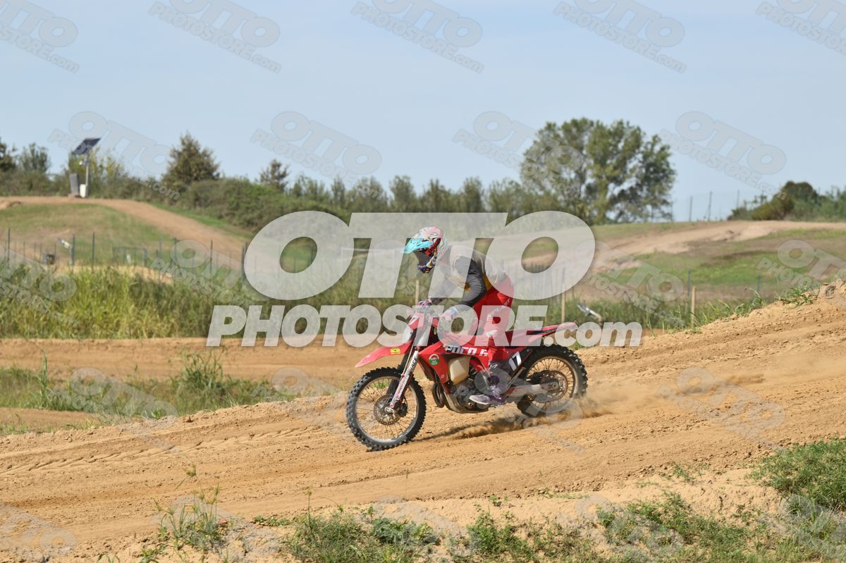 17 · DSH_7828