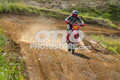 19 · DSH_7838