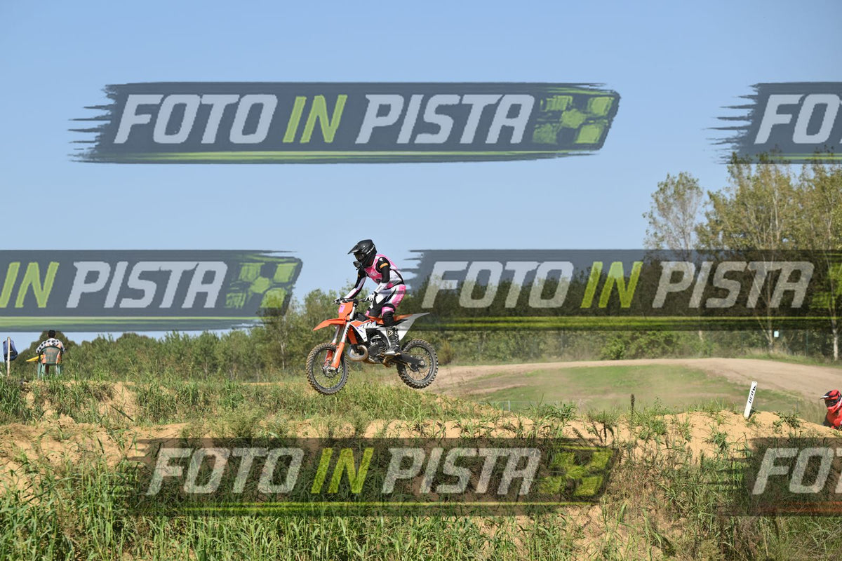 KTM - PINK WHITE SHIRT · DSH_7846