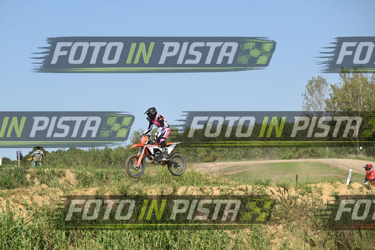 KTM - PINK WHITE SHIRT · DSH_7847