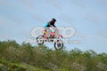 19 · DSH_7856