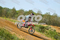 19 · DSH_7865
