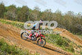 19 · DSH_7866