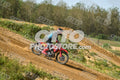 19 · DSH_7867