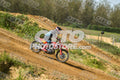 19 · DSH_7868