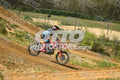 19 · DSH_7870