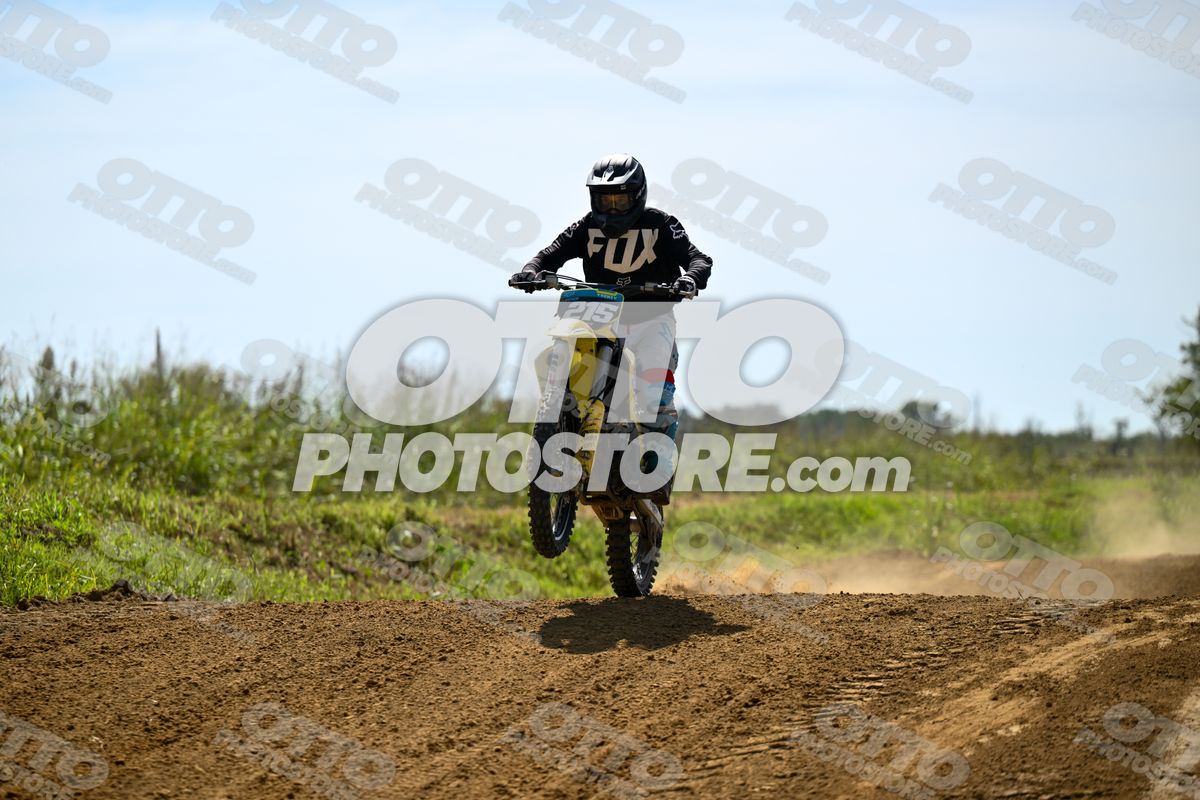 215 · DSH_7888