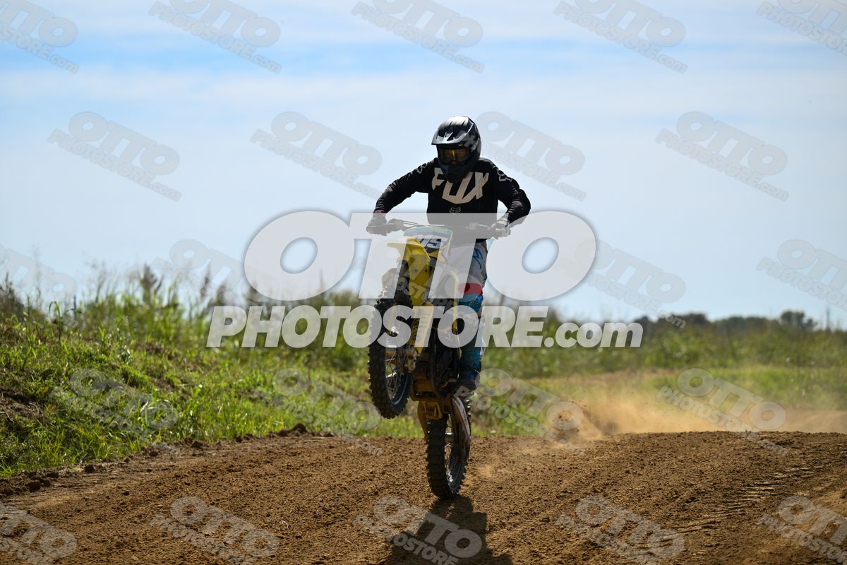 215 · DSH_7891