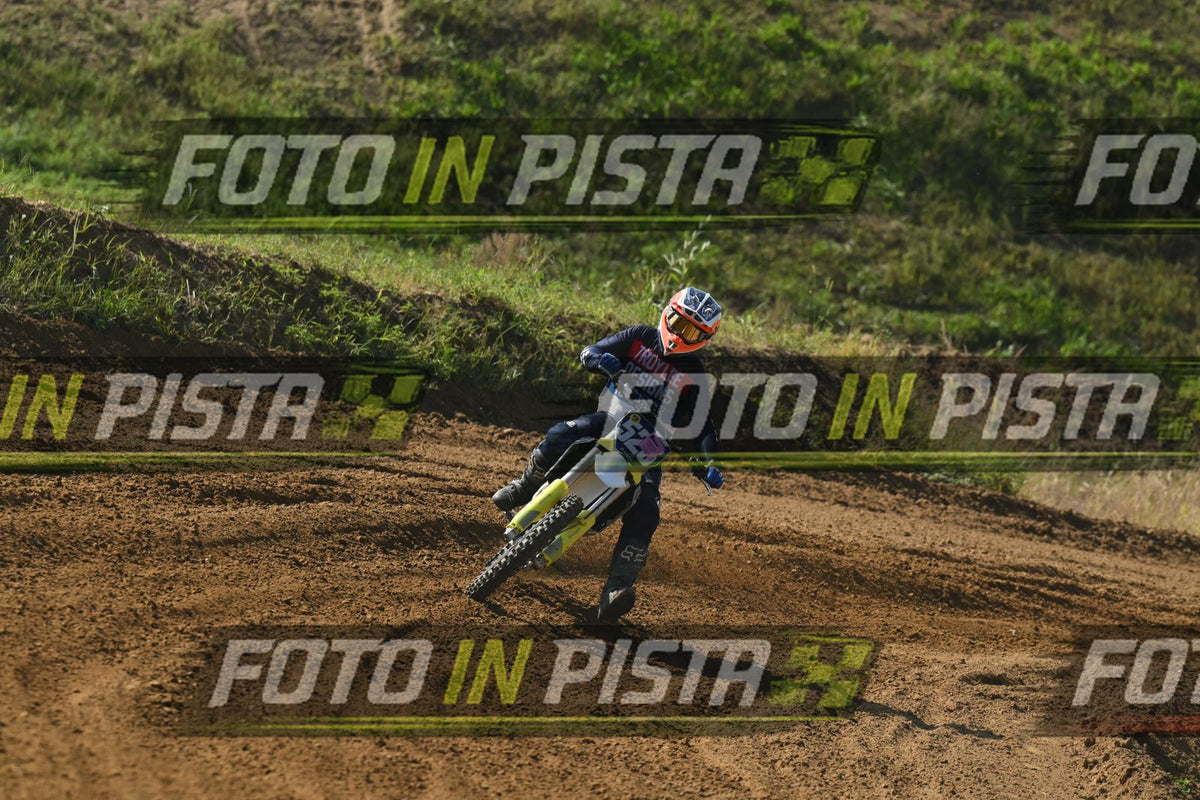 525 · DSH_7908