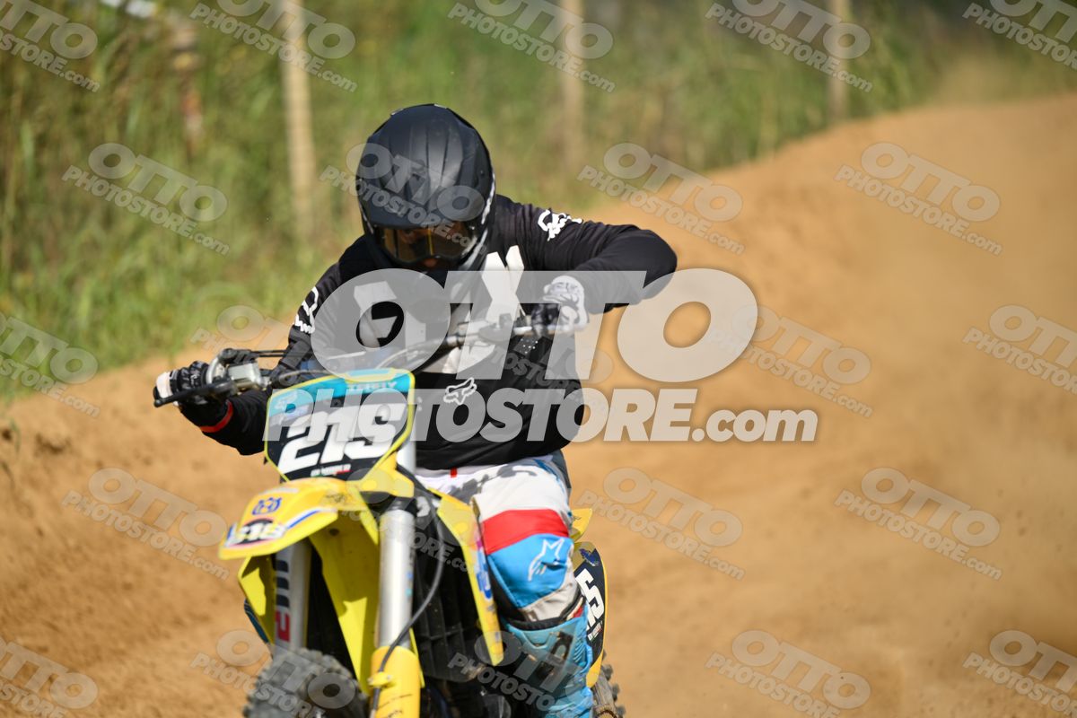 215 · DSH_7913