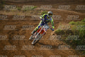 31 · DSH_7921