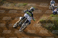 17 · DSH_7925