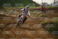 161 · DSH_7940