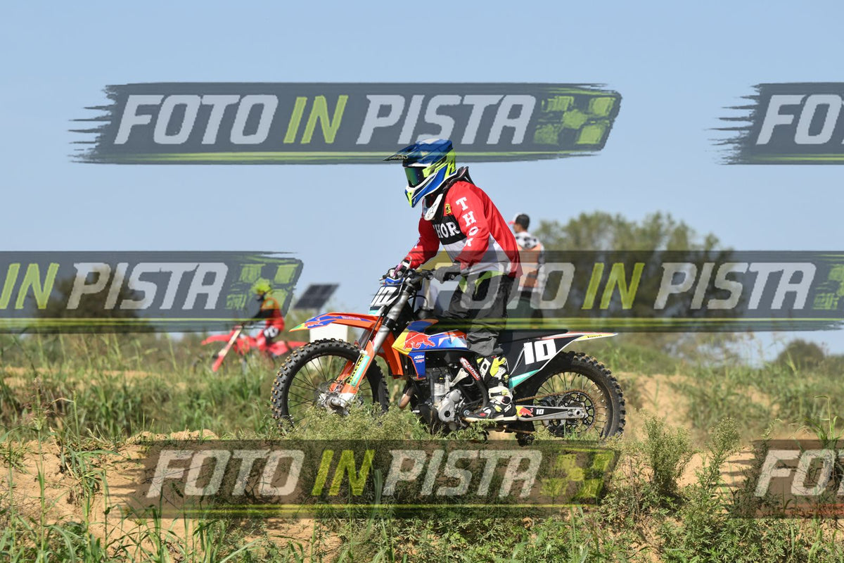 10 · DSH_7954