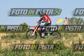10 · DSH_7955