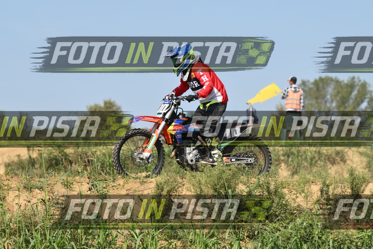 10 · DSH_7955