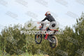 8 · DSH_7958