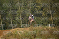 161 · DSH_7961