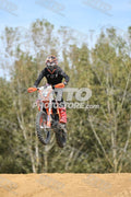 8 · DSH_7964