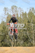 8 · DSH_7965