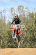8 · DSH_7966
